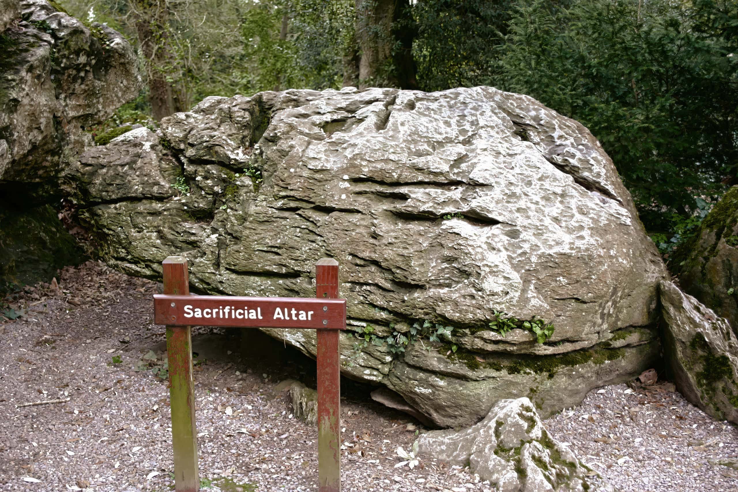 Ancient sacrificial altar carved into a large rock, surrounded by nature, used for spiritual rituals.