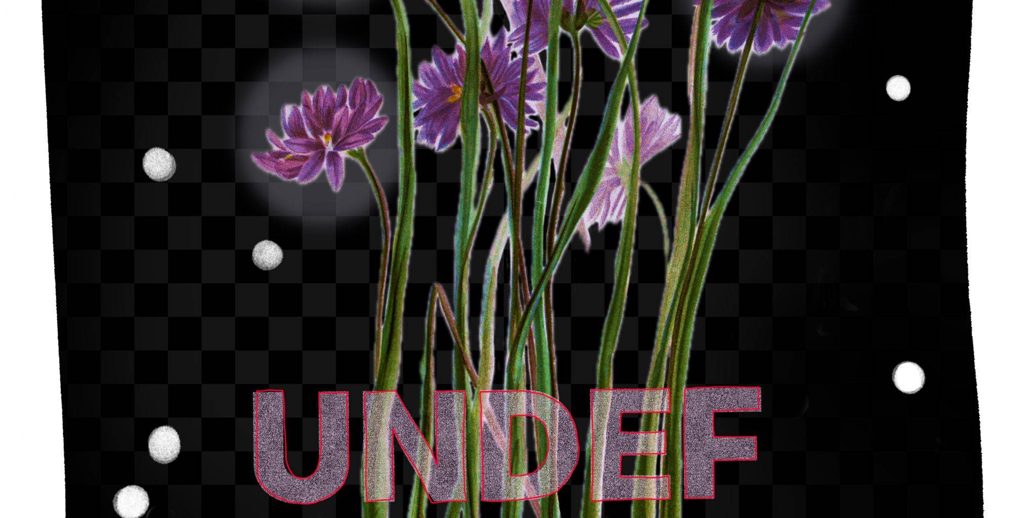 Purple flowers with green stems on black background.