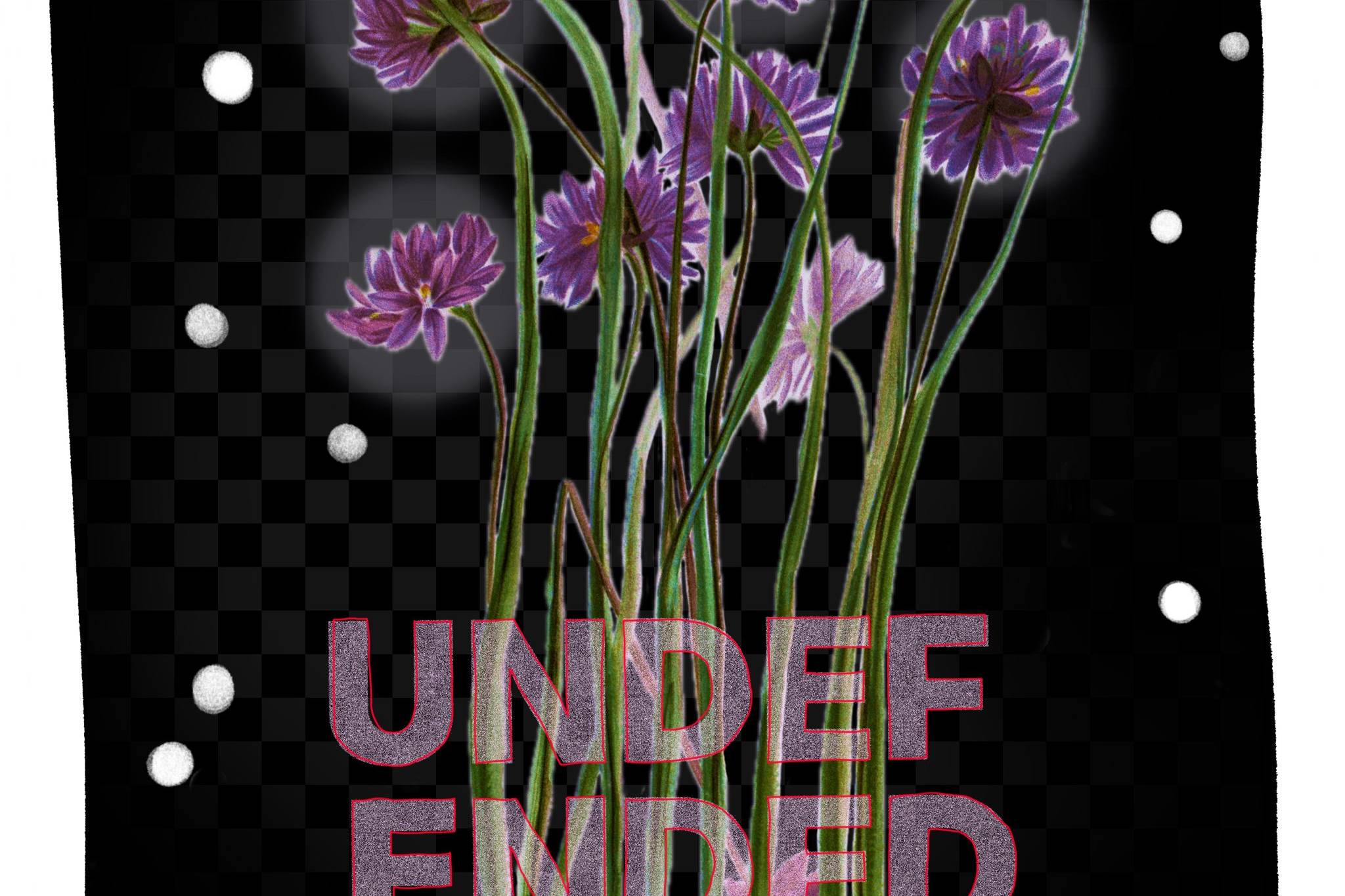 Purple flowers with green stems on black background.