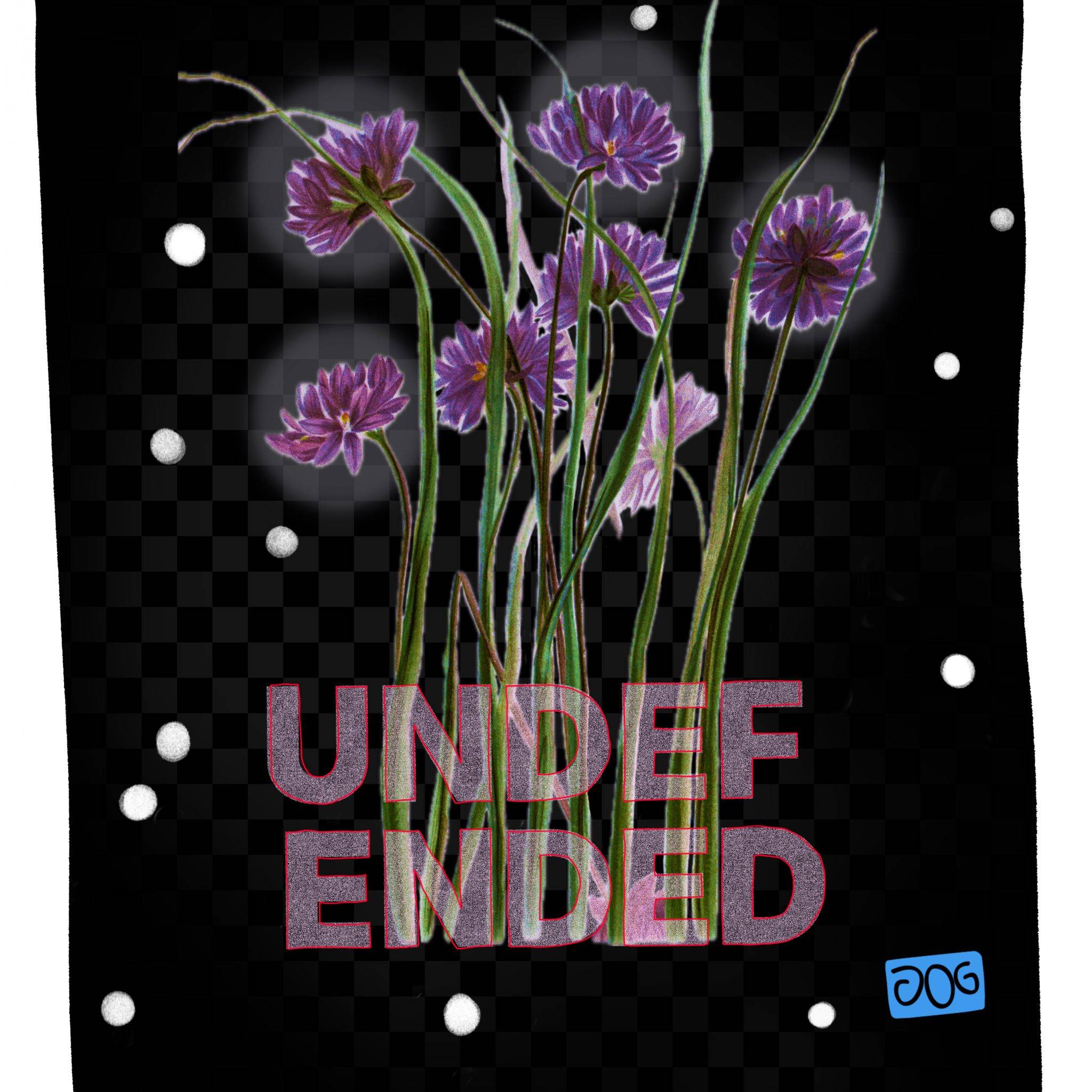 Purple flowers with green stems on black background.