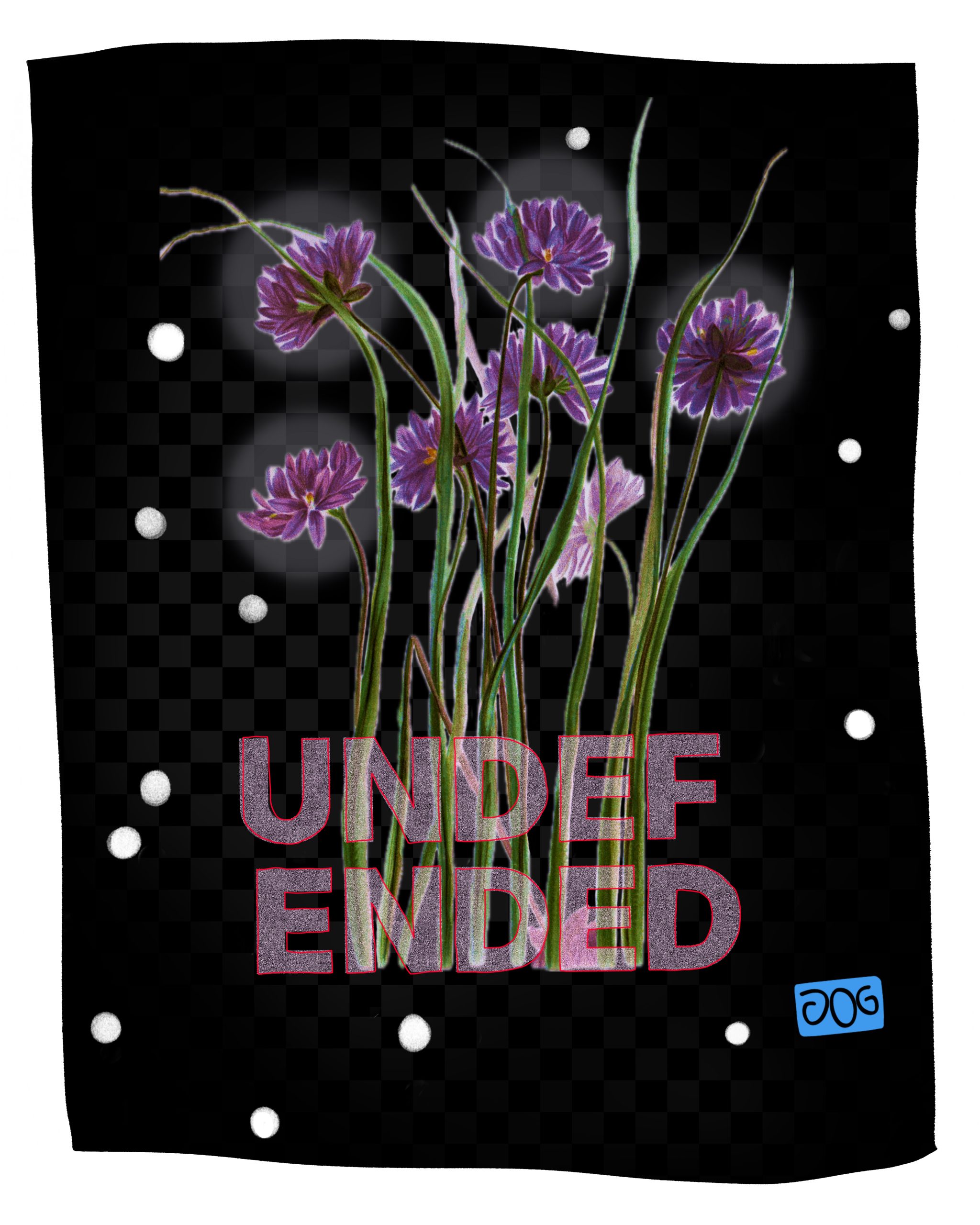 Purple flowers with green stems on black background.