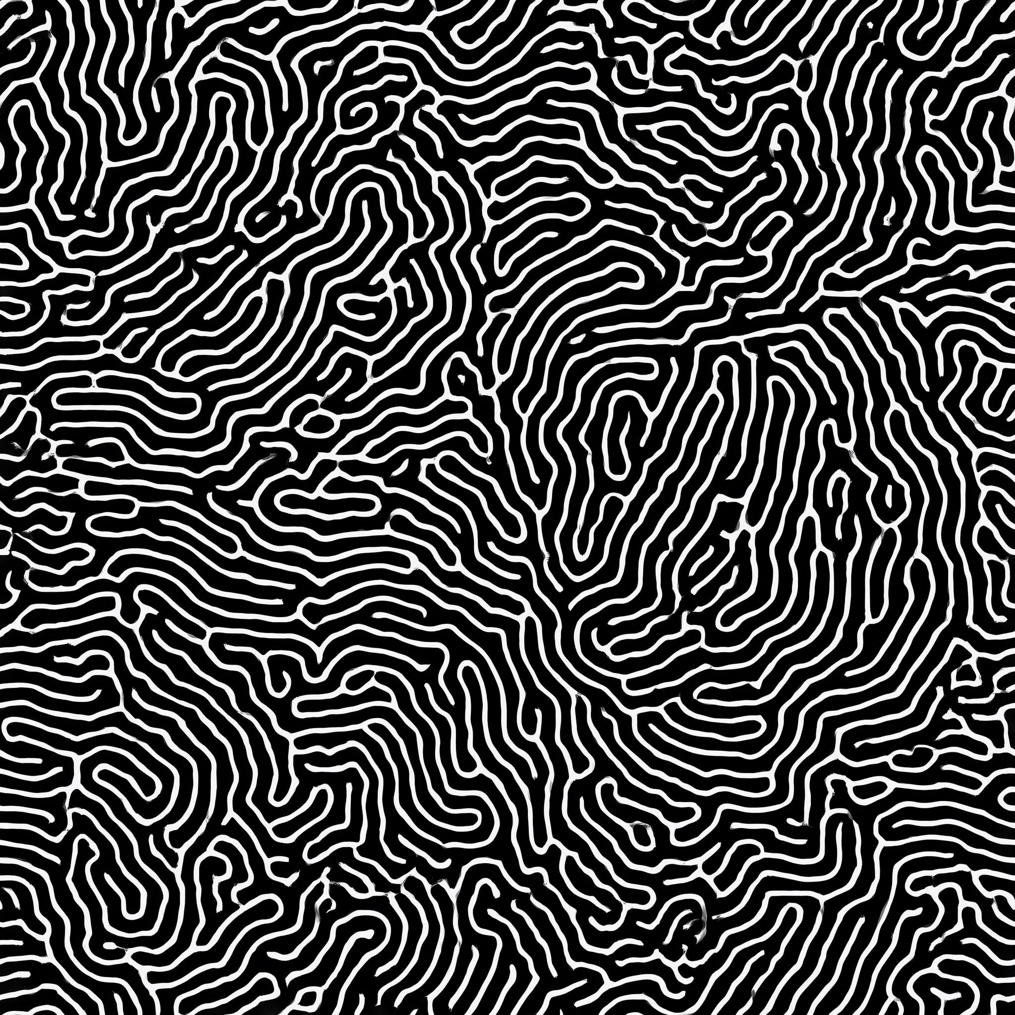 Intricate black and white maze pattern with complex lines and curves.